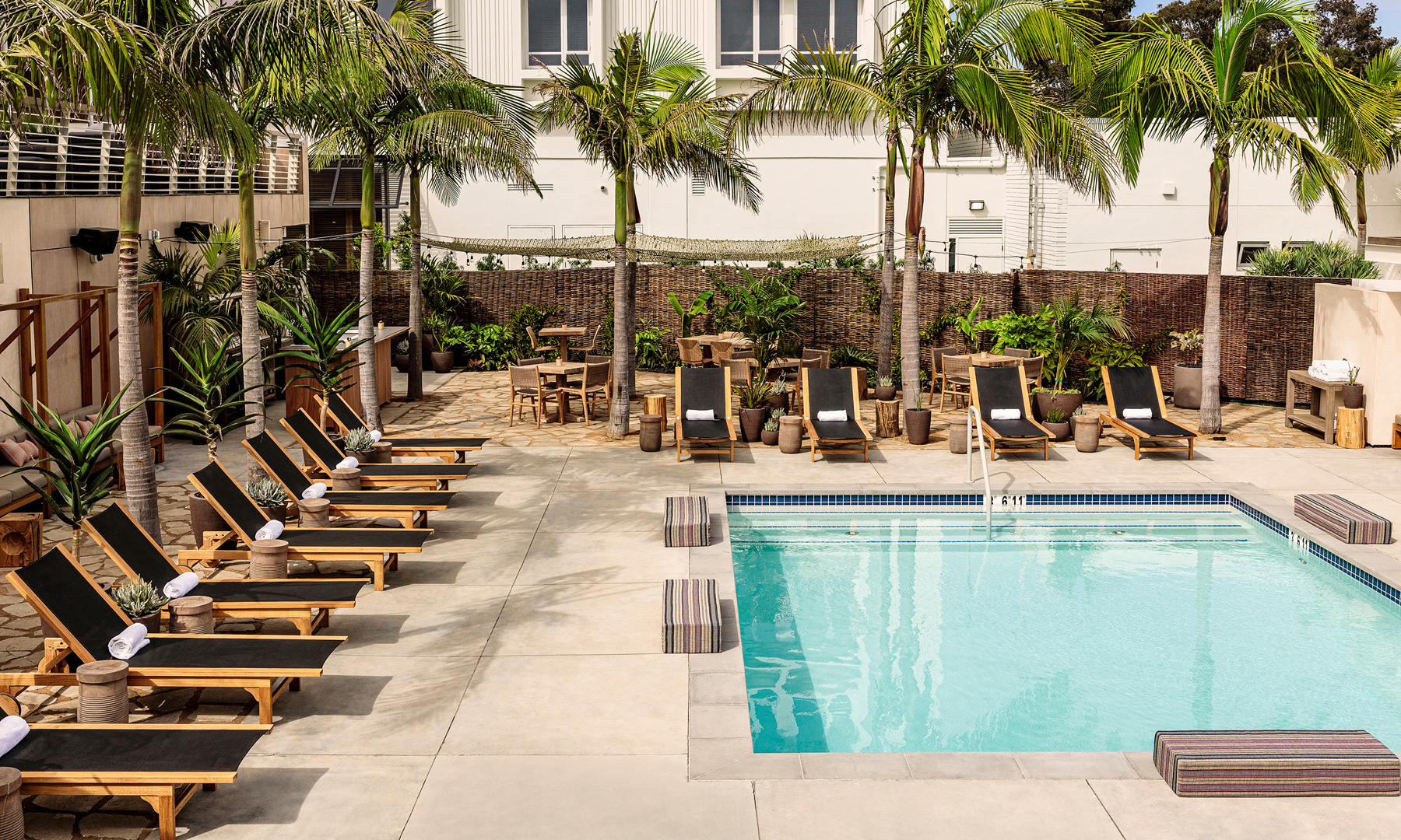 Pool surrounded by chaise lounge chairs and palm trees
