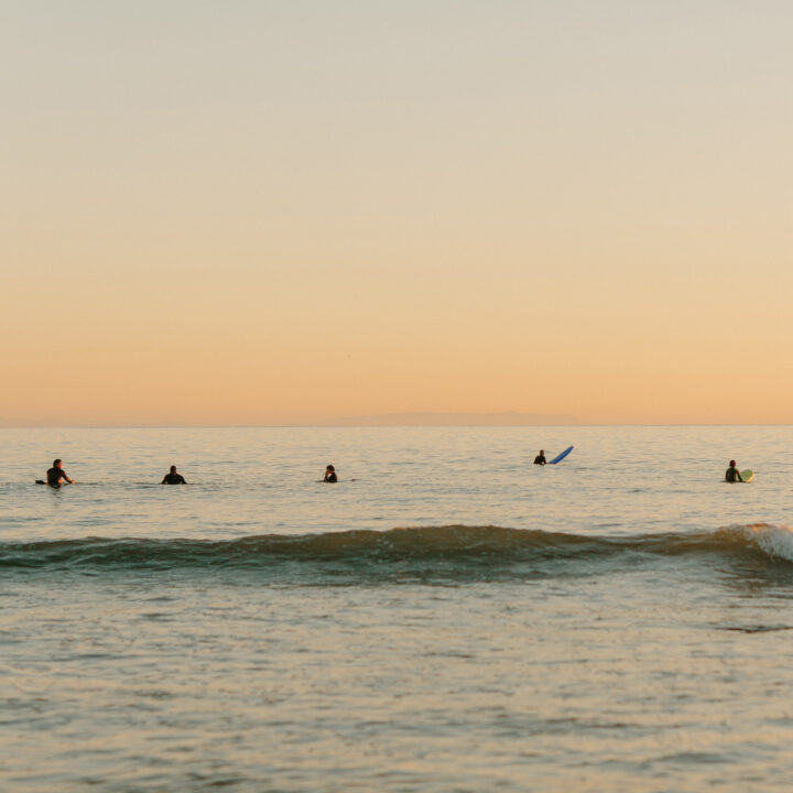 Surfers in Venice Beach Ocean