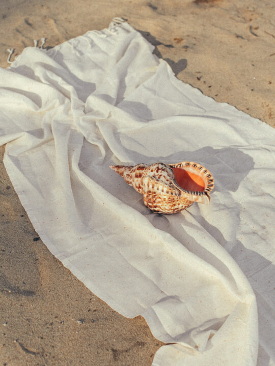 seashell on towel at the beach