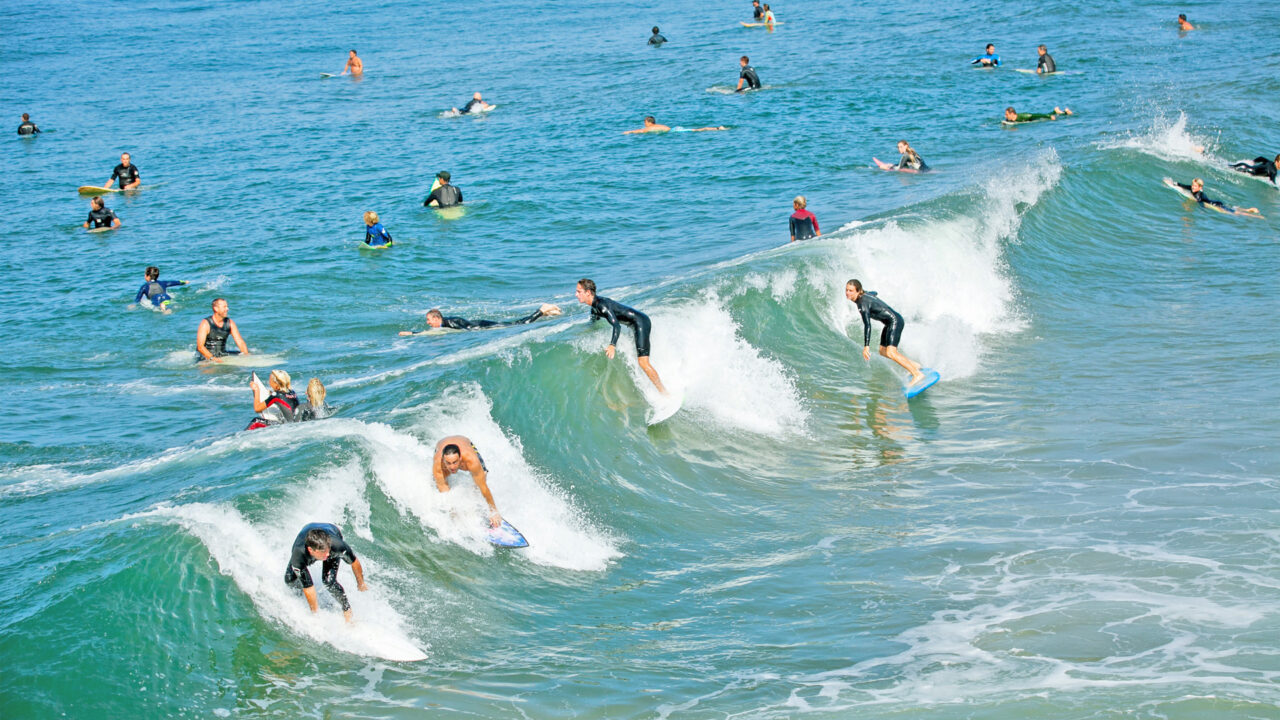 Venice Surfers